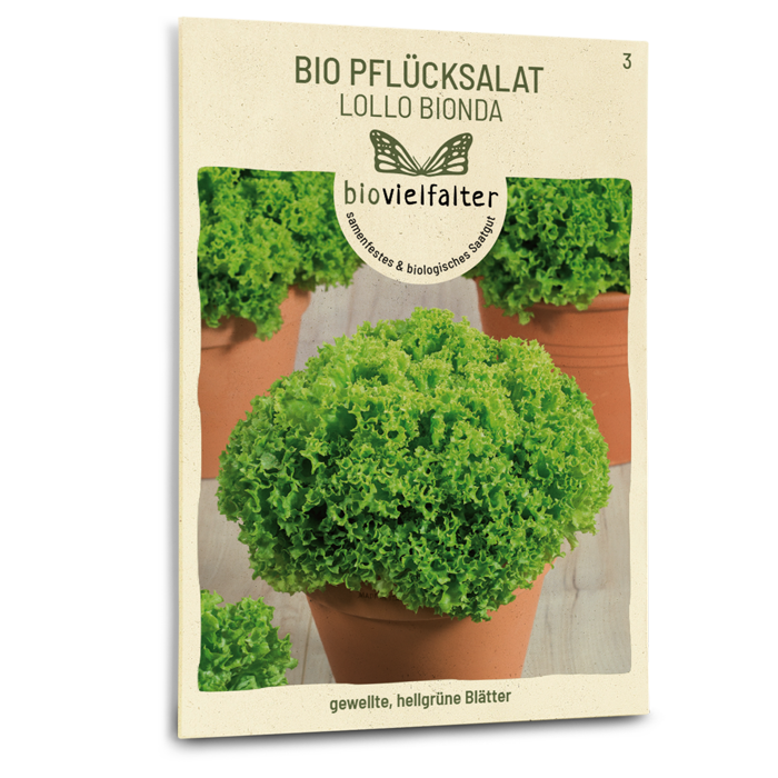 plantura-bio-pfl-cksalat-lollo-bionda-saatgut image 1