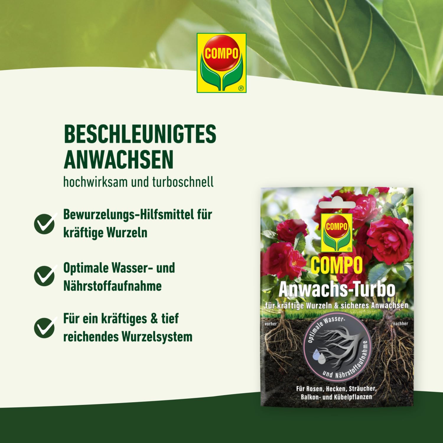 compo-agrosil-wurzel-turbo-wurzelaktivator-700-g image 4