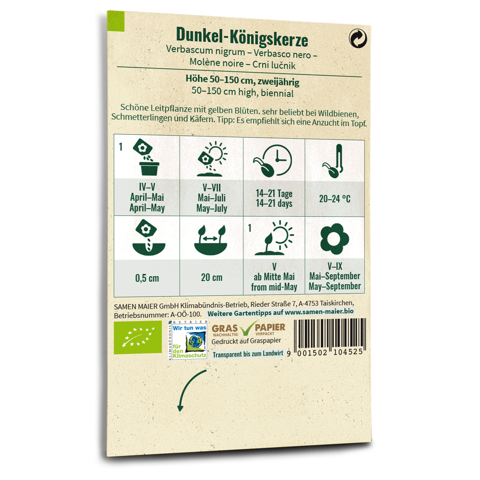 plantura-bio-dunkle-k-nigskerze-wildblume-bio-saatgut image 3