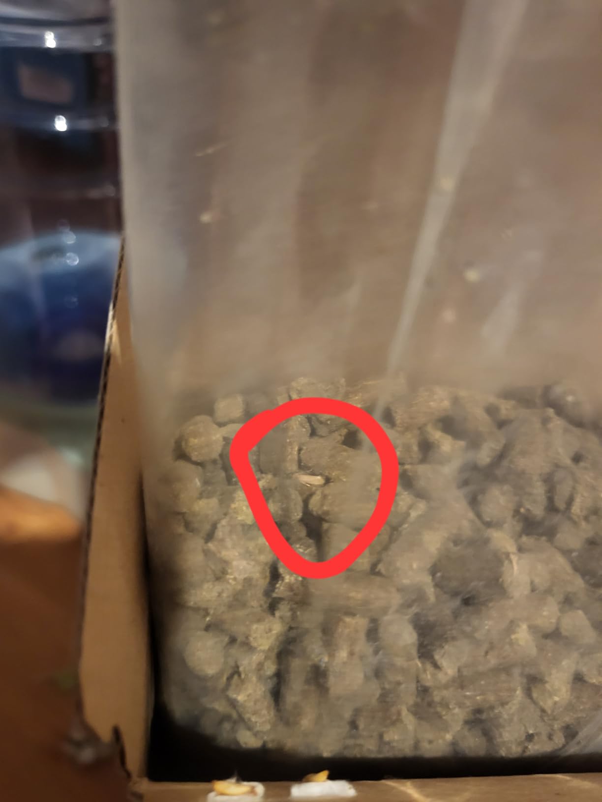Oma kennt das mit Wolle