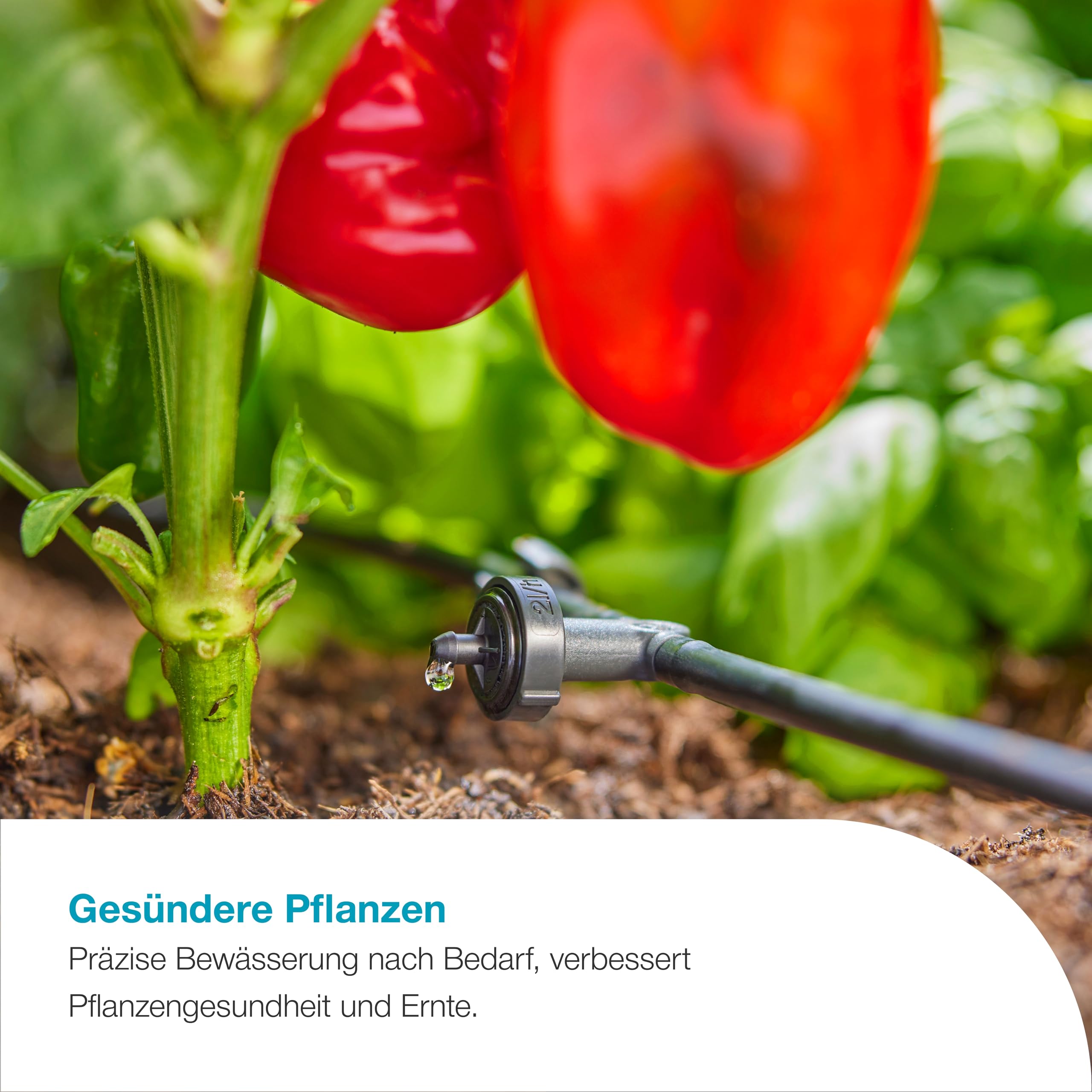 gardena-aquabloom-l-set-13330-20-solar-bew-sserung-f-r-30-pflanzen image 5