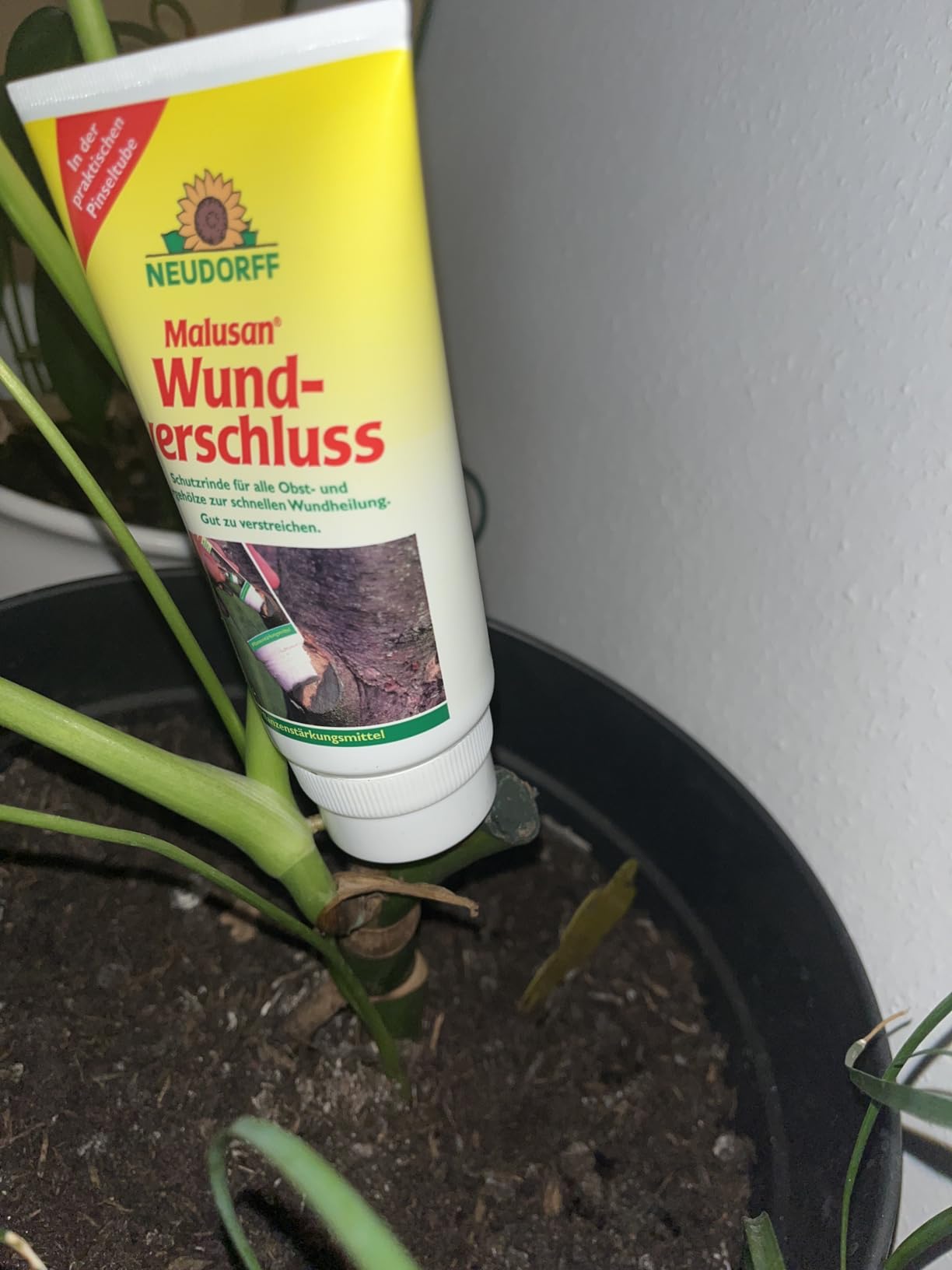 Apfelbaum super versorgt