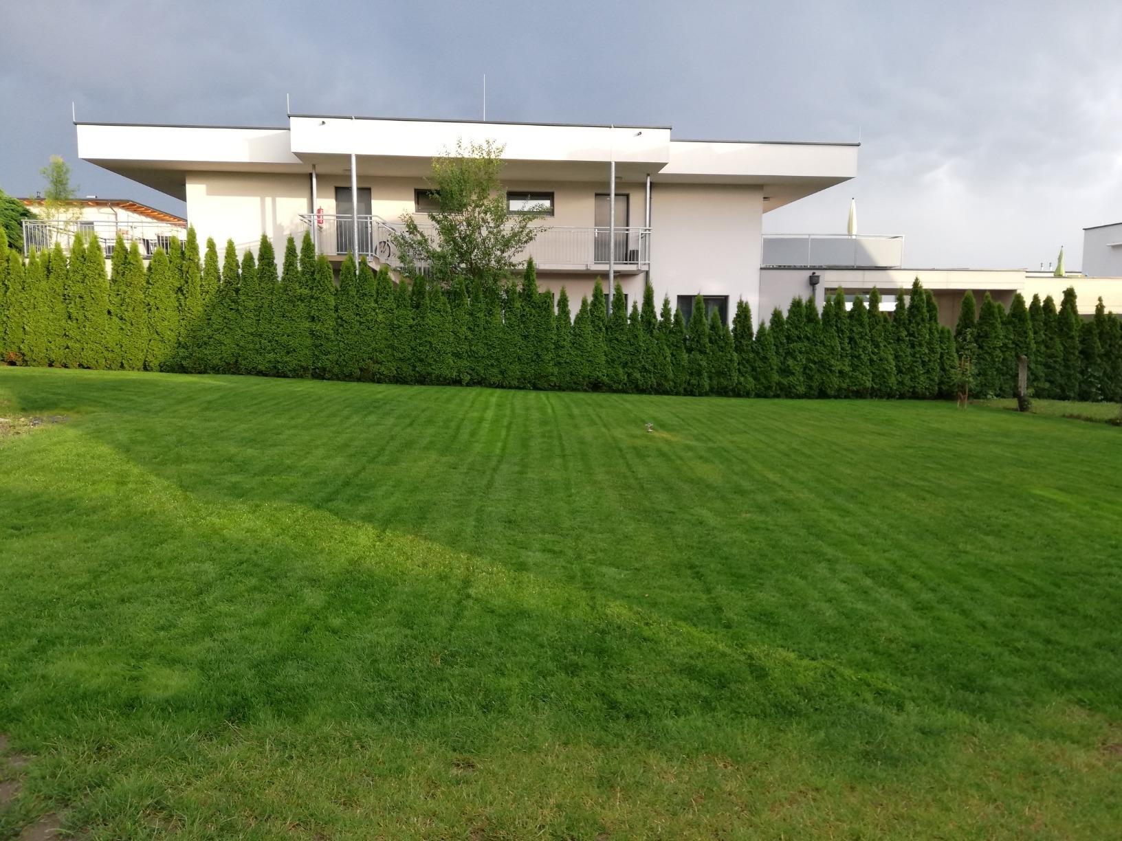 Alte Wiese erneuert