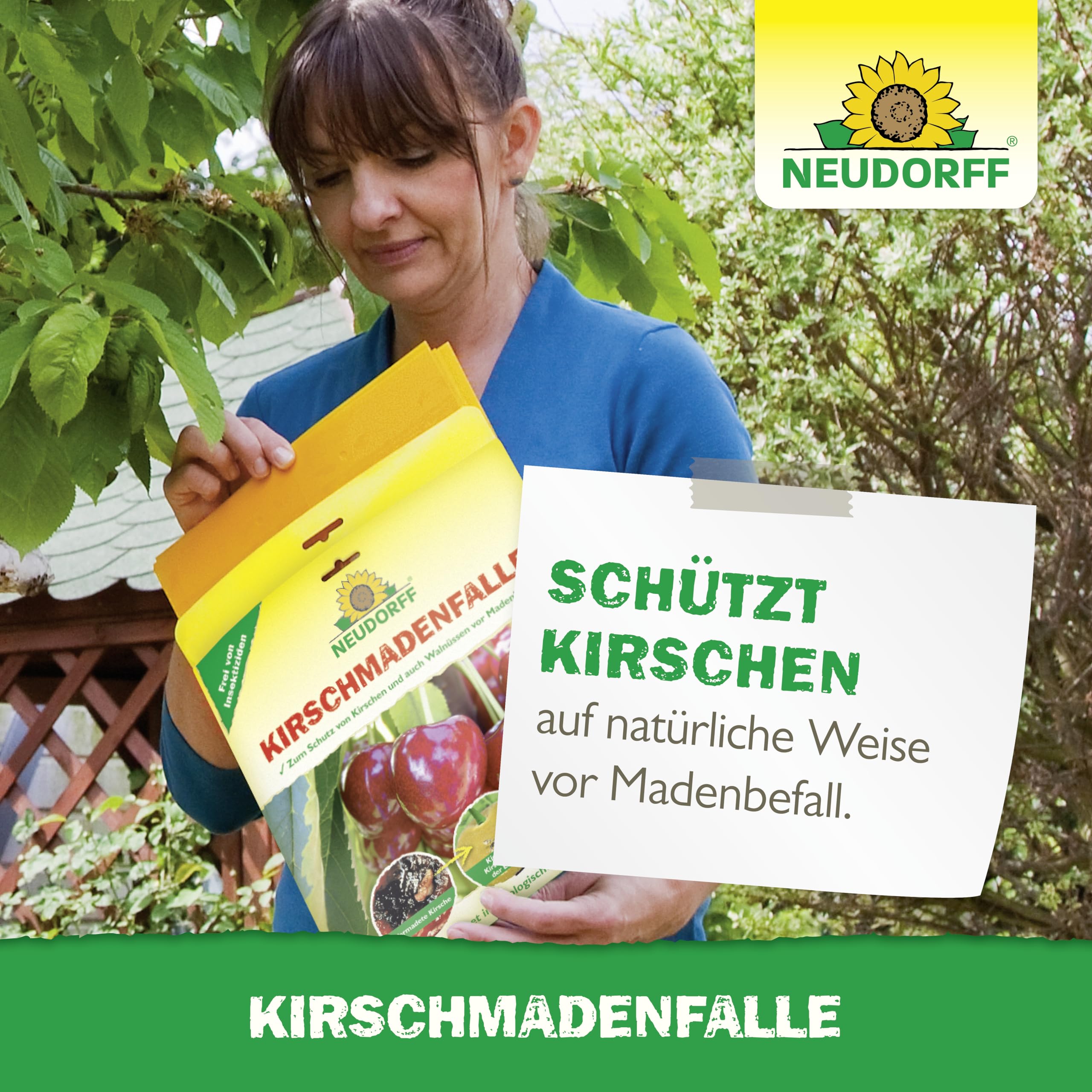 neudorff-kirschmadenfalle-7-st-ck-insektizidfreie-leimfalle-f-r-kirschen-und-wal image 6