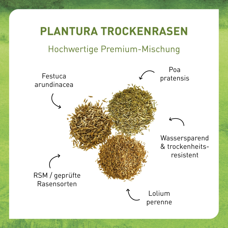 plantura-premium-trockenrasen-2-kg-rasensamen-trockenheitsresistent image 3