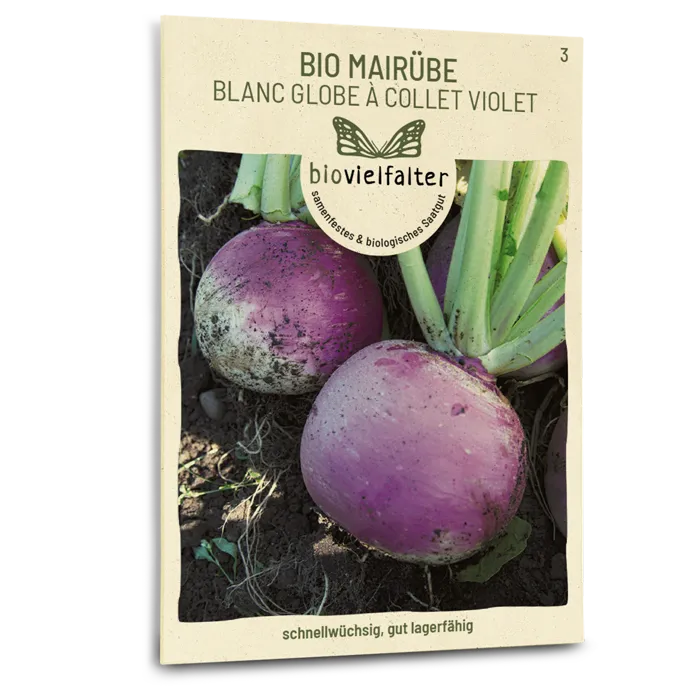 plantura-bio-mair-be-blanc-globe-collet-violet-bio-saatgut image 1