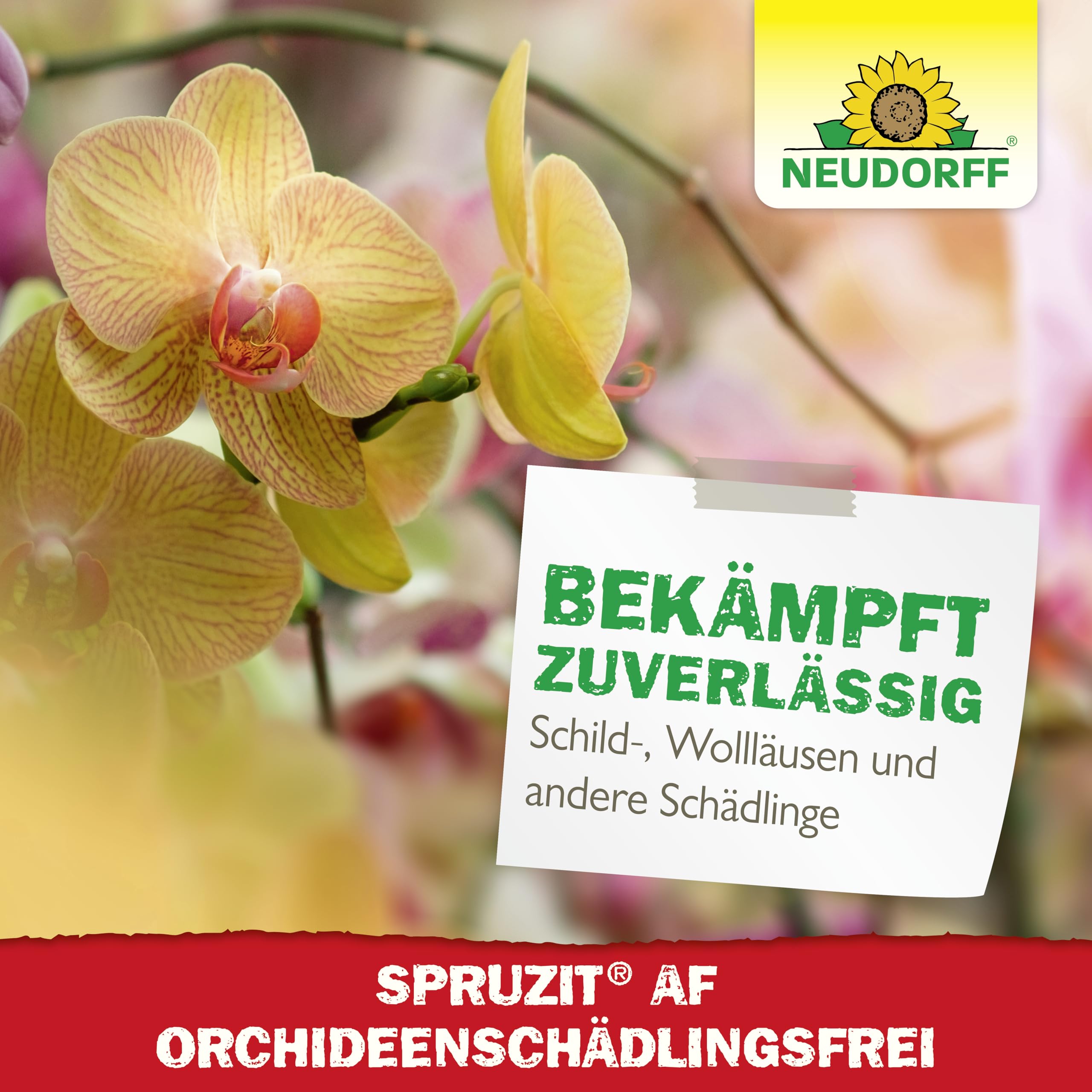 neudorff-spruzit-af-orchideen-sch-dlingsfrei-250-ml-spray-anwendungsfertig image 6