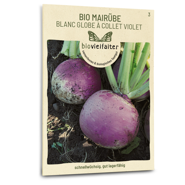 plantura-bio-mair-be-blanc-globe-collet-violet-bio-saatgut image 1