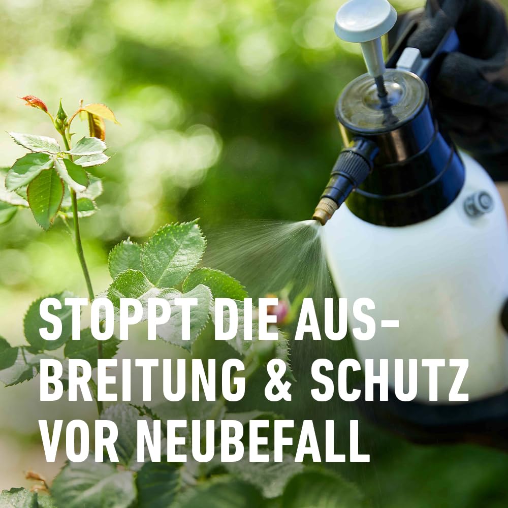 compo-duaxo-universal-pilz-frei-af-fungizid-spray-750-ml-anwendungsfertig image 6