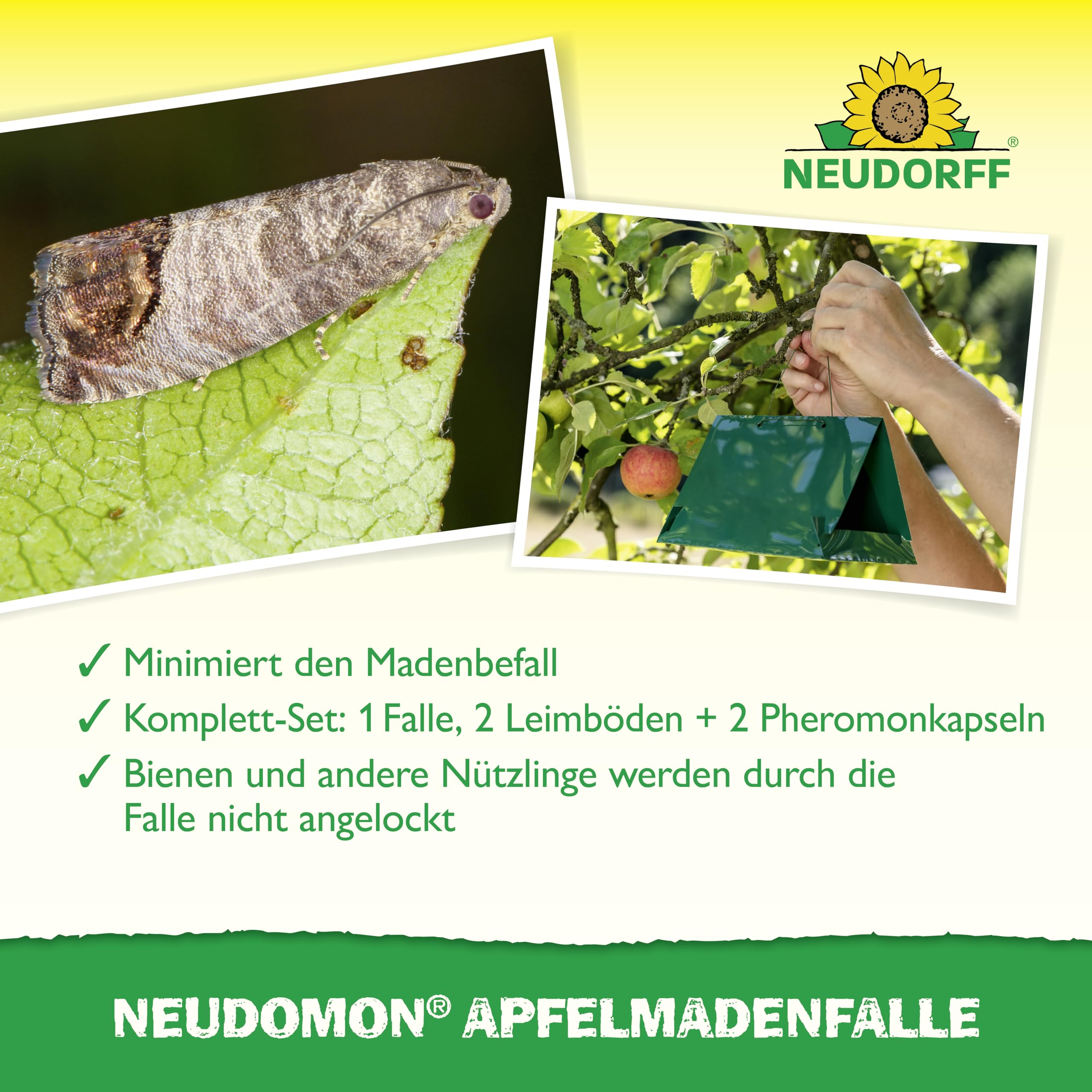 neudorff-neudomon-apfelmadenfalle-nachf-llbare-pheromon-leimfalle-gegen-apfelwic image 4