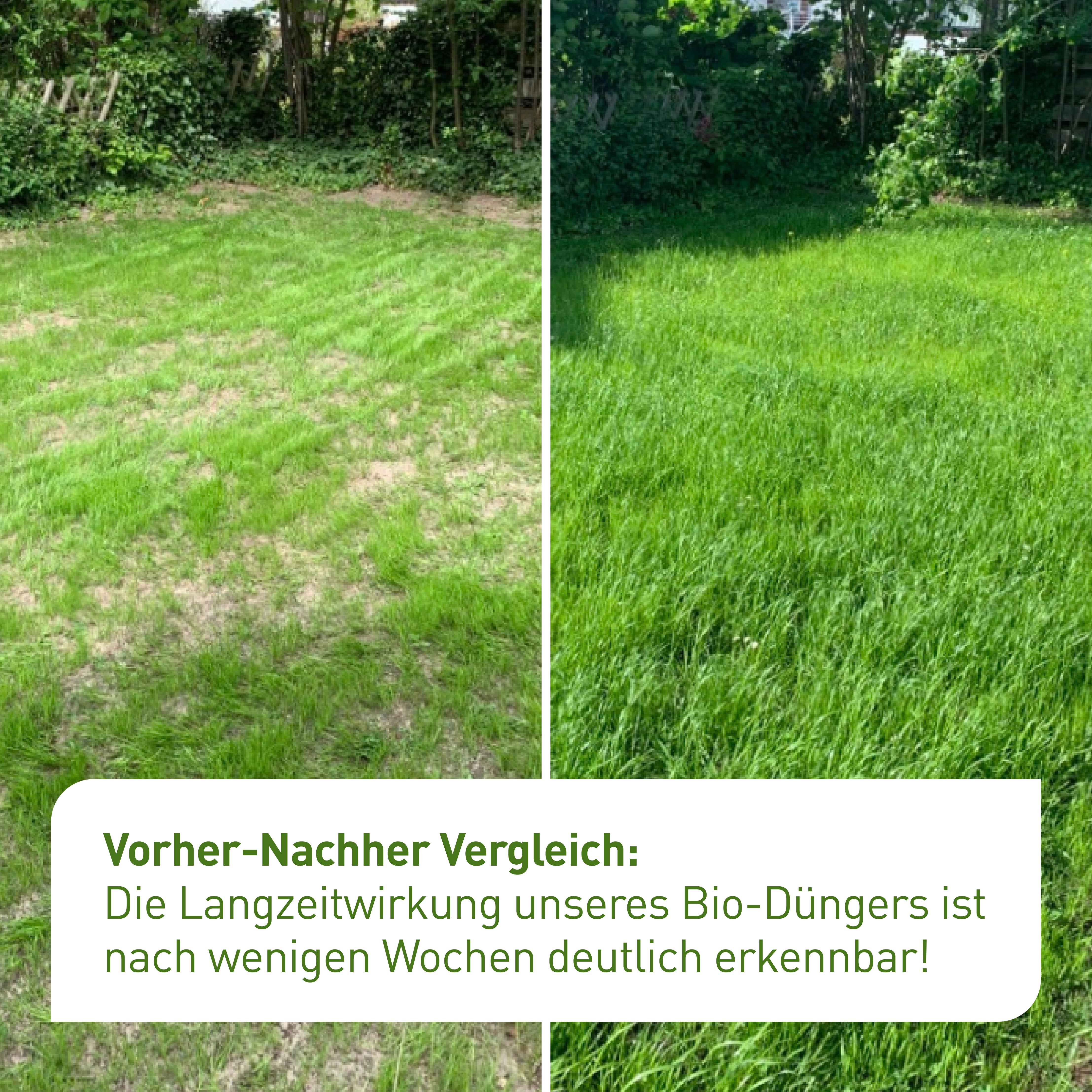 plantura-bio-rasend-nger-3-kg-box-organischer-langzeitd-nger image 2