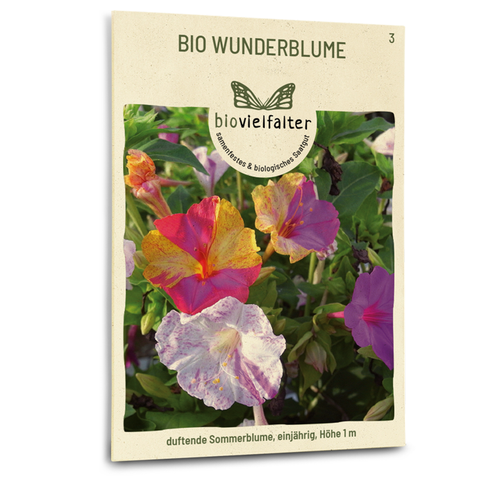 plantura-bio-wunderblume-saatgut-mirabilis-jalapa image 1
