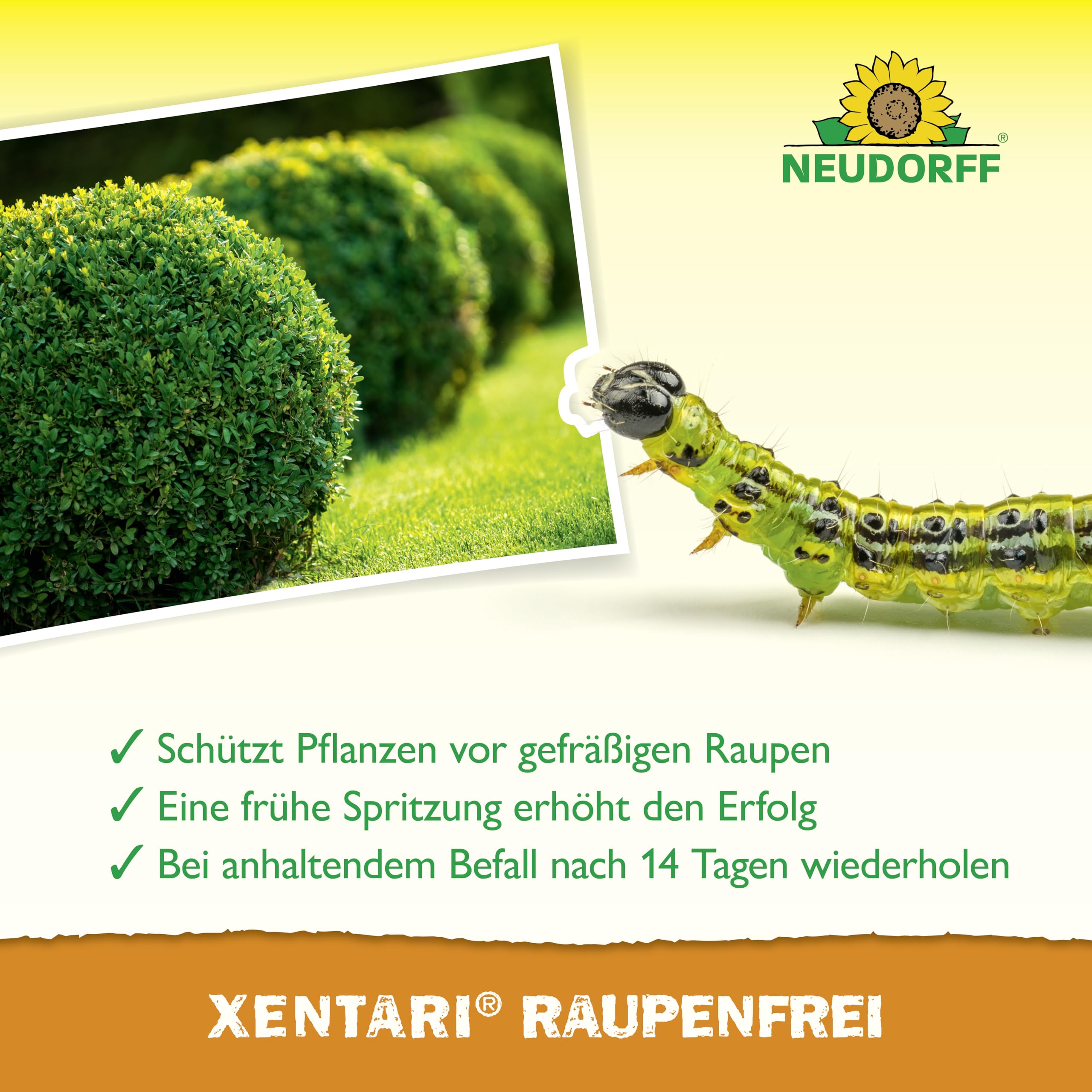 neudorff-xentari-raupenfrei-25-g-bio-insektizid-gegen-buchsbaumz-nsler image 4