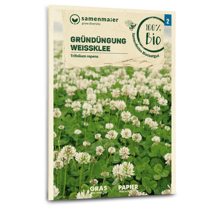 plantura-bio-wei-klee-gr-nd-ngung-bio-saatgut-bodendecker image 1