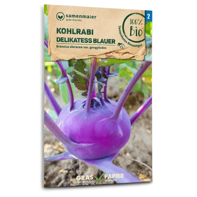 plantura-bio-kohlrabi-blauer-delikatess-fr-h-bio-saatgut image 1