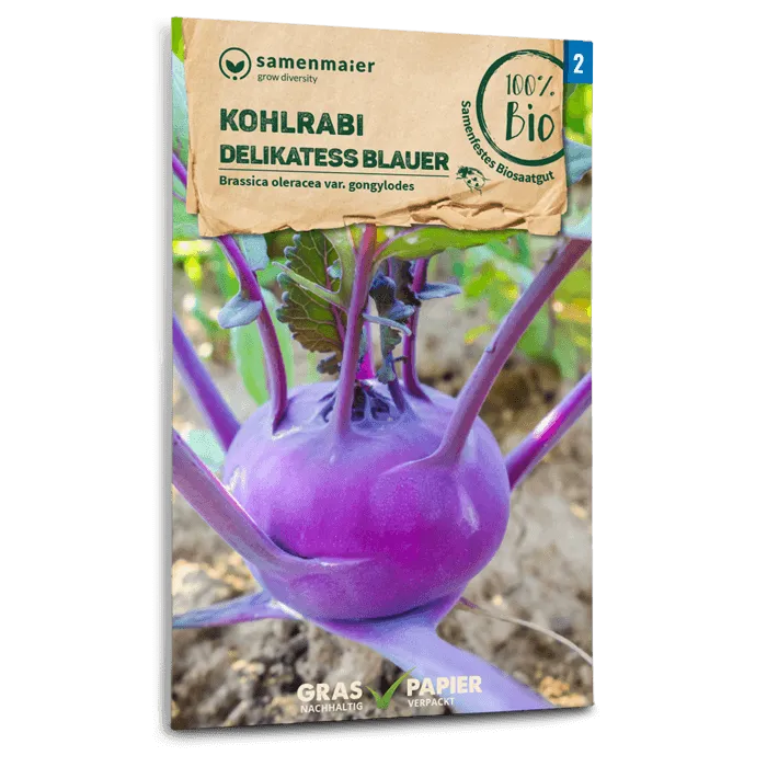 plantura-bio-kohlrabi-blauer-delikatess-fr-h-bio-saatgut image 1