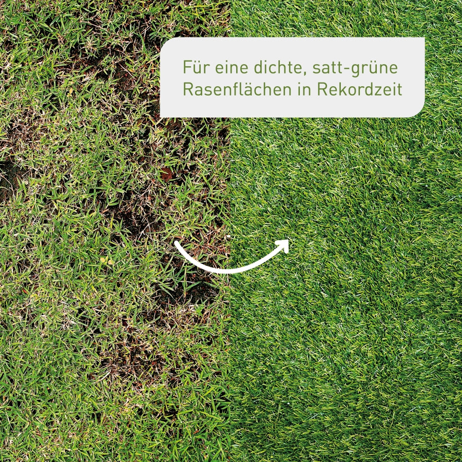 plantura-rasen-nachsaat-1-kg-premium-saatgutmischung image 2