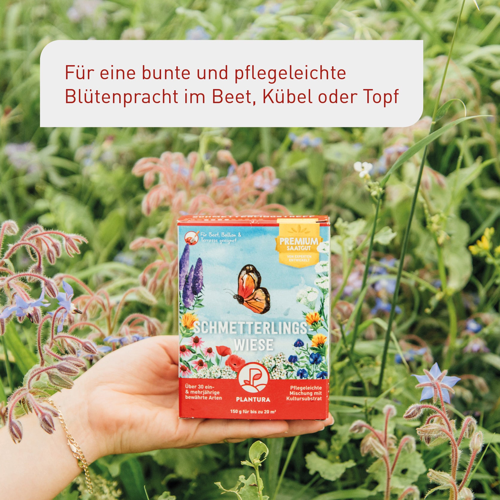 plantura-schmetterlingswiese-150-g-blumenmischung-ber-30-arten image 2