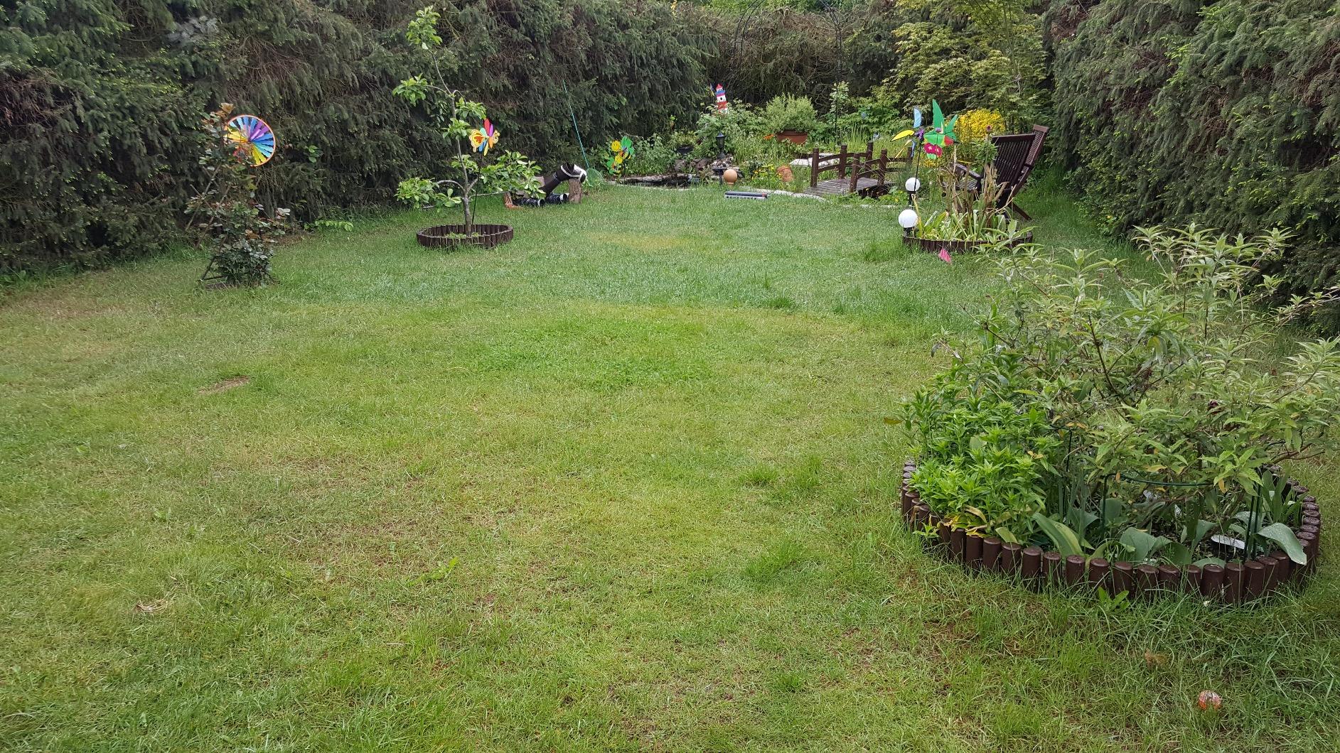 Bester Bio-Dünger für unseren Garten