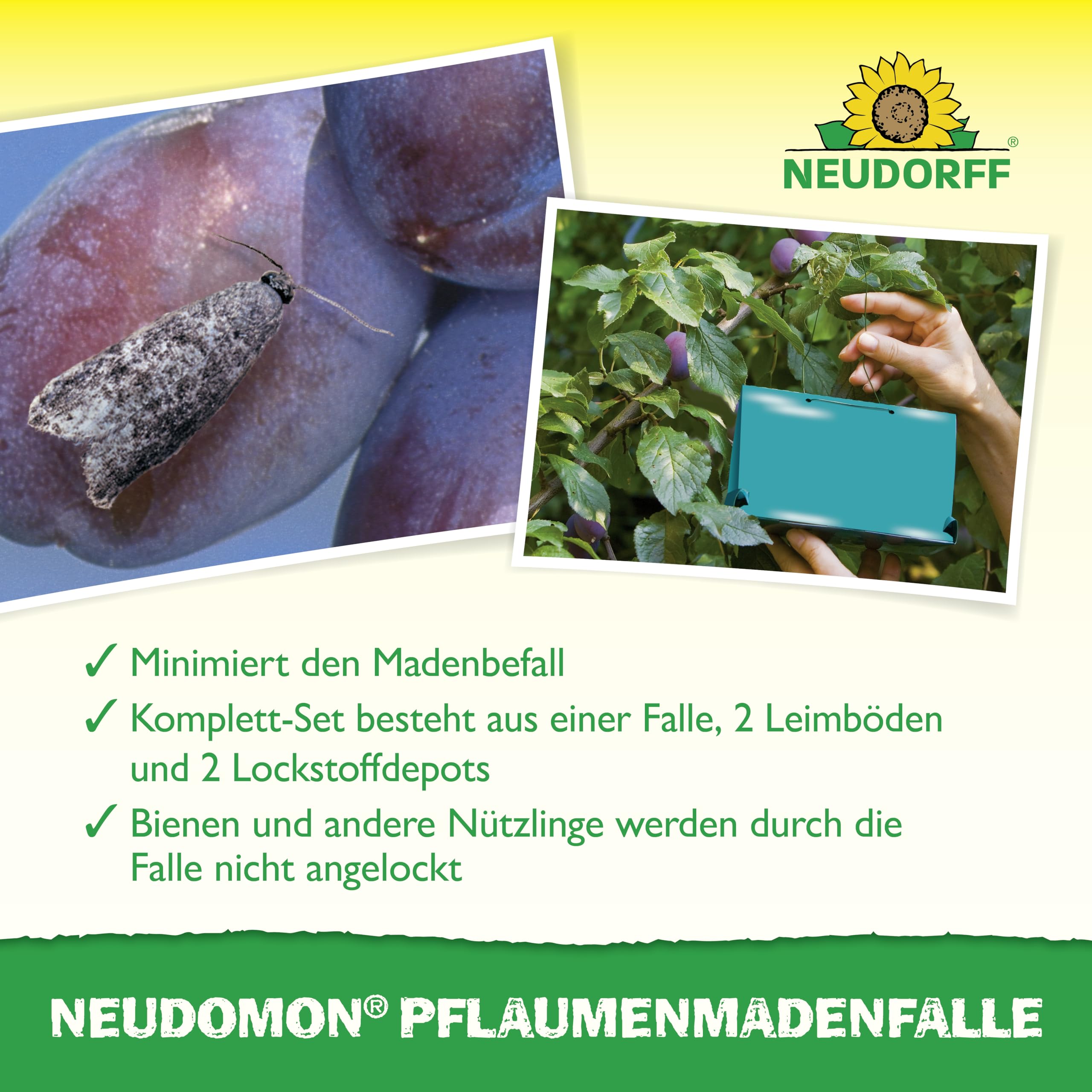 neudorff-neudomon-pflaumenmadenfalle-nachf-llbares-set-gegen-pflaumenwickler image 4
