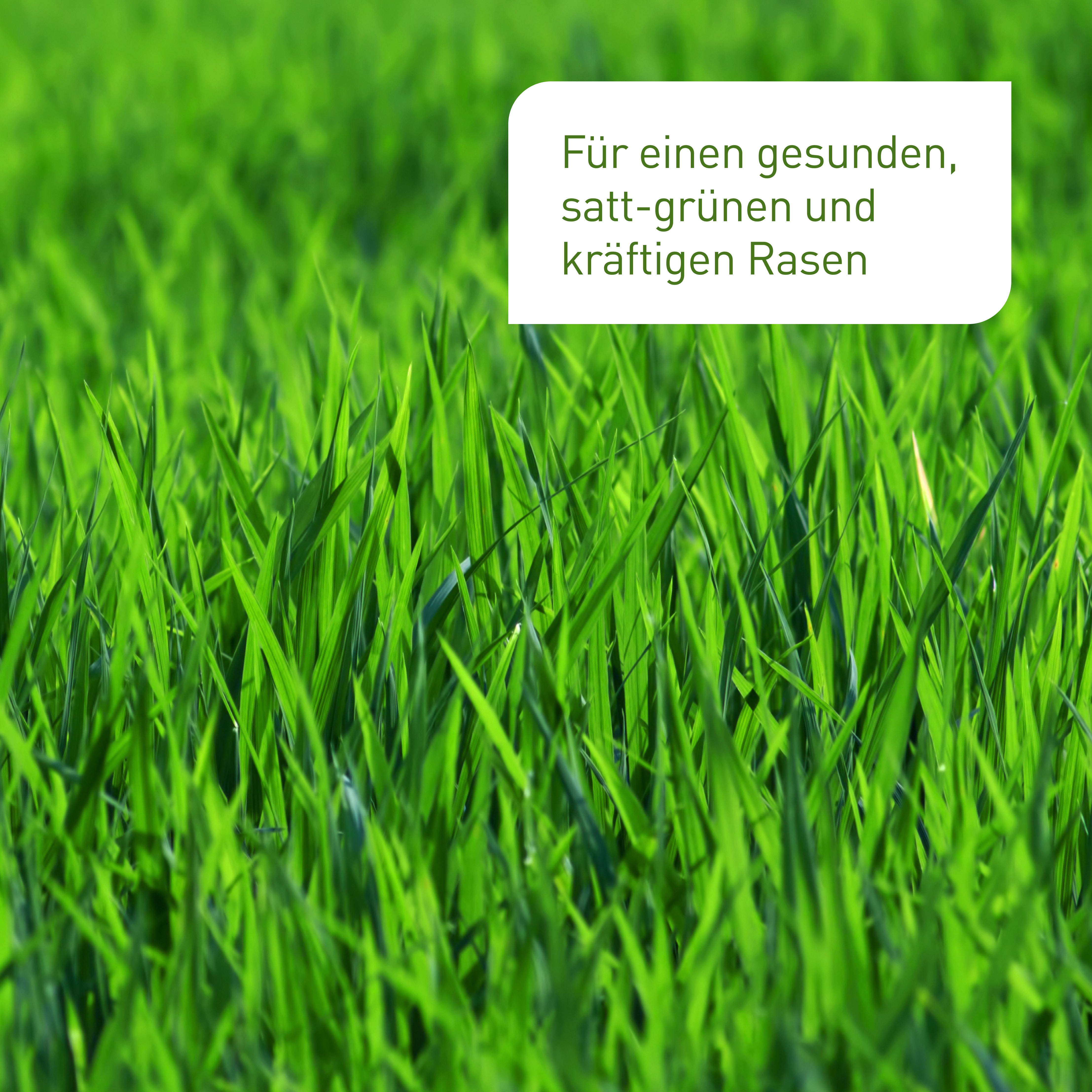 plantura-bio-rasend-nger-3-kg-box-organischer-langzeitd-nger image 4