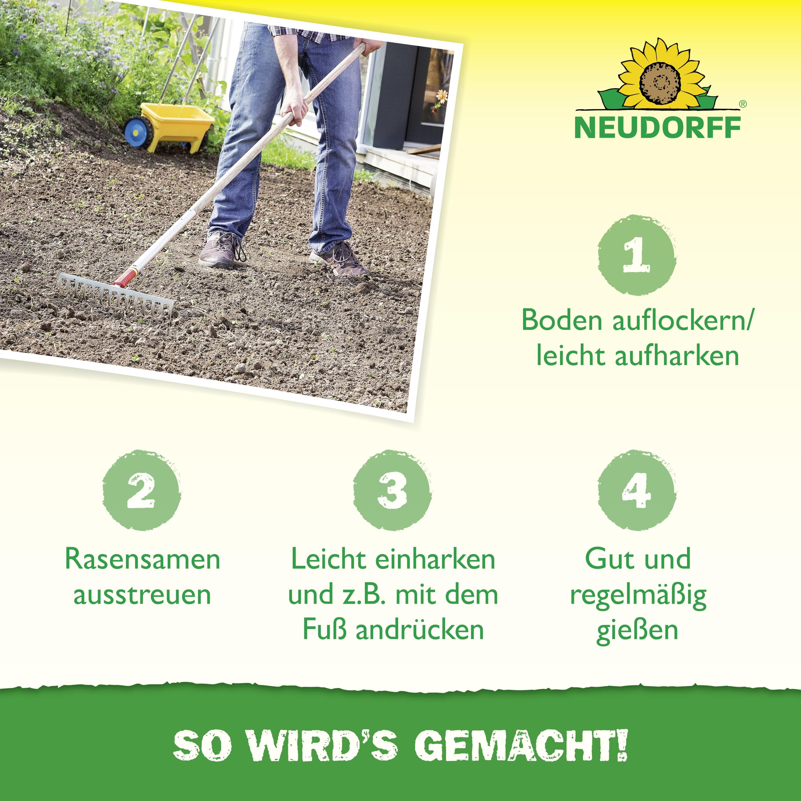 neudorff-universalrasensamen-2-kg-f-r-100-m-schnellkeimend-in-5-tagen image 5