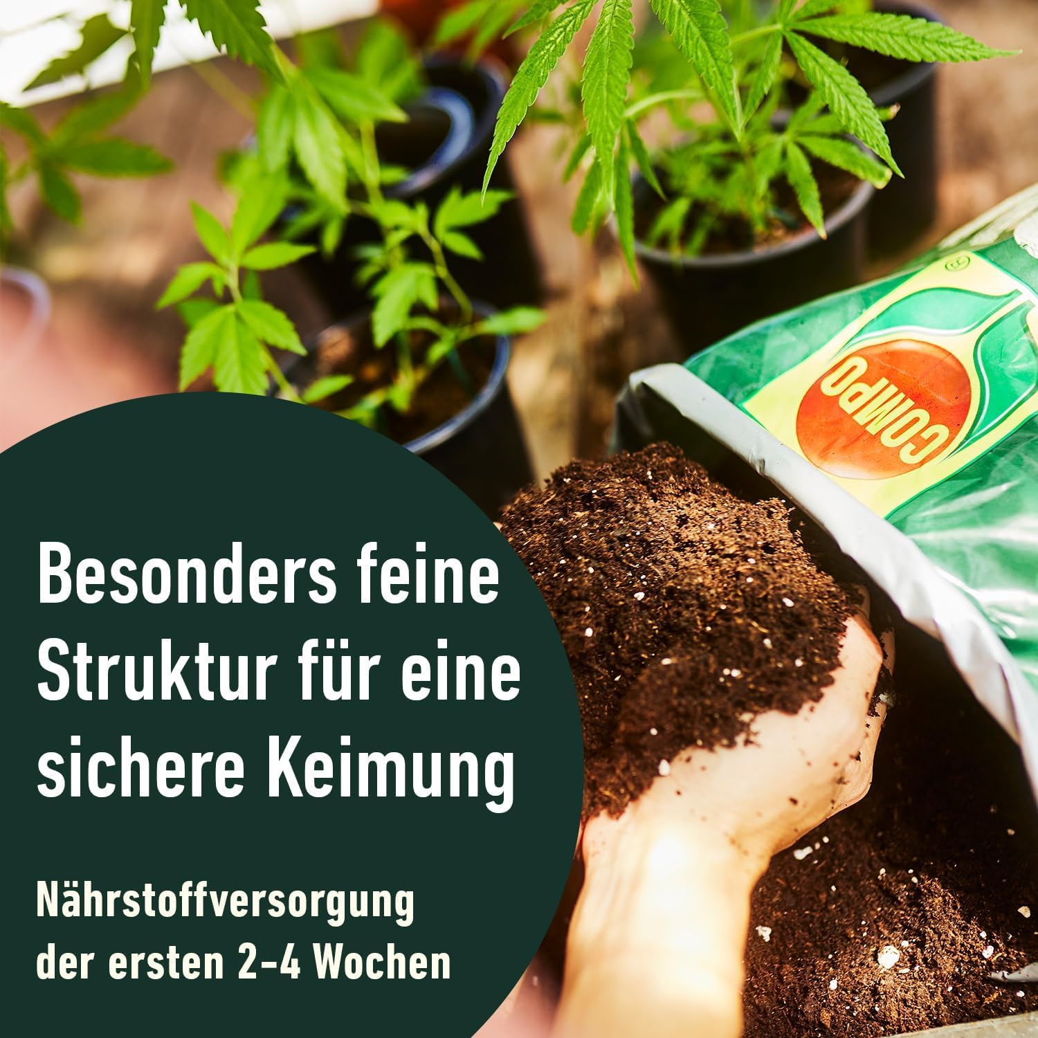 compo-grow-organic-light-mix-erde-50-l-aussaat-und-anzuchterde image 4