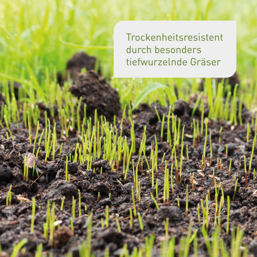 plantura-premium-trockenrasen-2-kg-rasensamen-trockenheitsresistent image 4