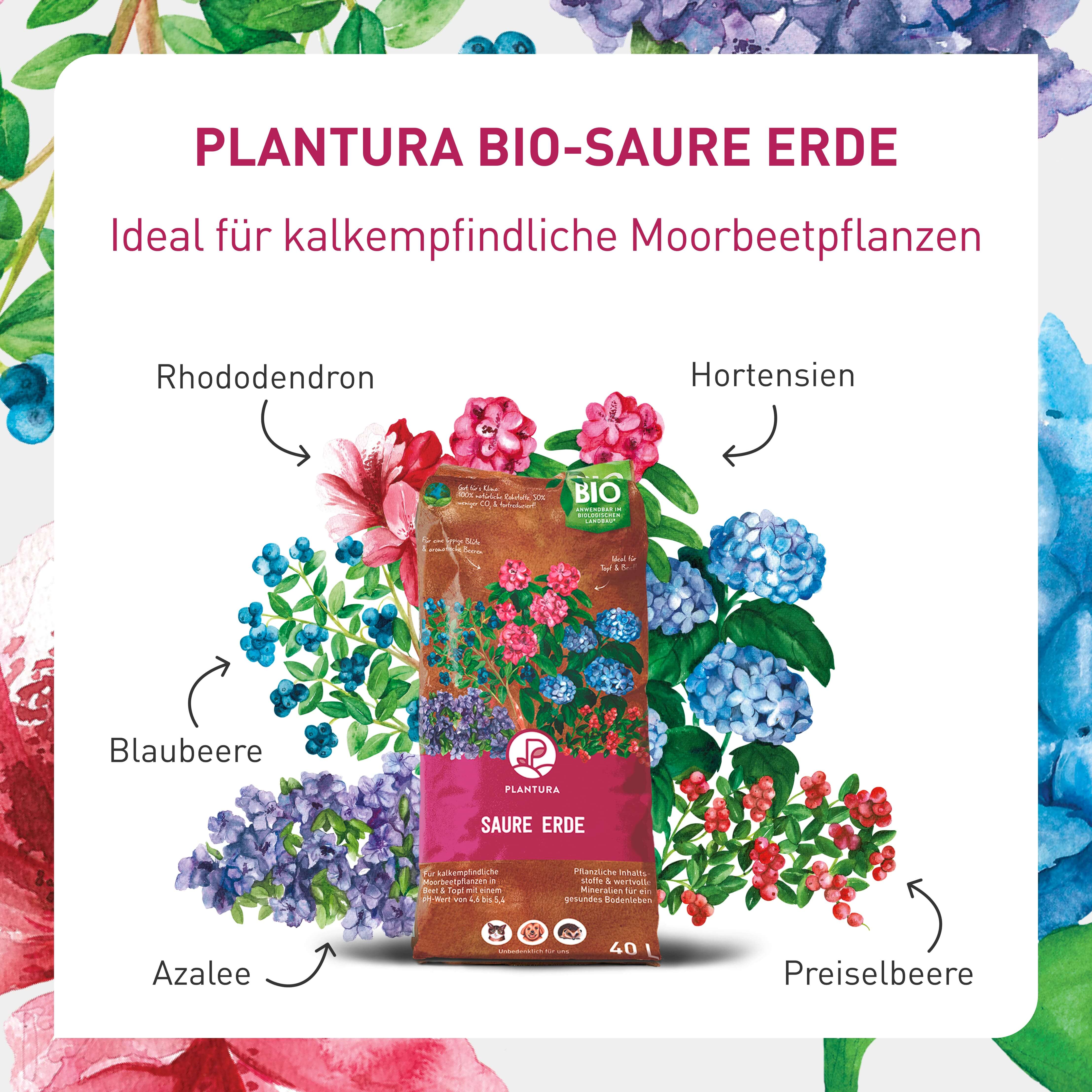 plantura-bio-saure-erde-40-l-moorbeeterde-ph-4-6-5-4 image 3