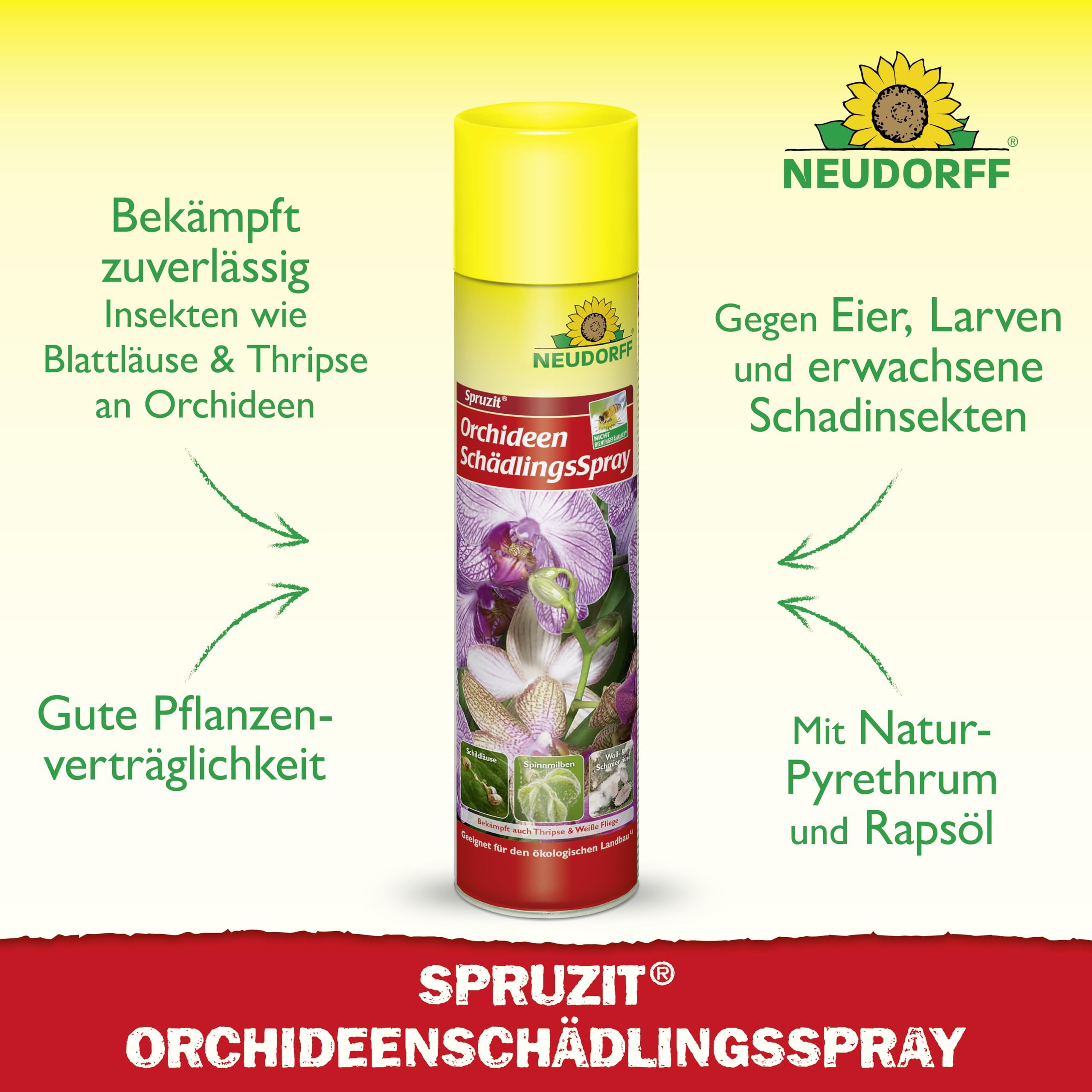 neudorff-spruzit-orchideensch-dlingsspray-300-ml-anwendungsfertig image 2