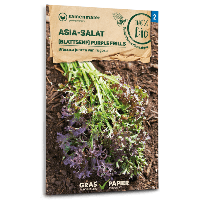 plantura-bio-asia-salat-purple-frills-bio-saatgut image 1