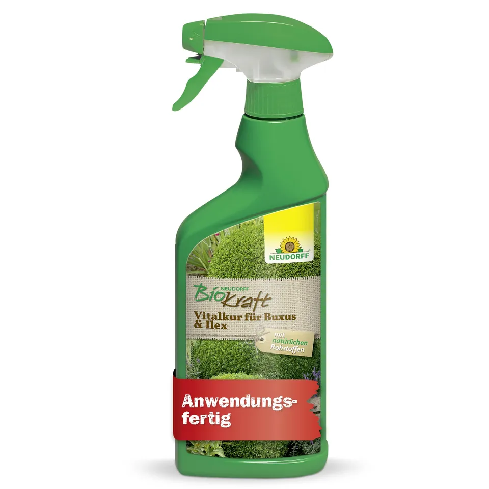 neudorff-biokraft-vitalkur-f-r-buxus-ilex-af-spray-500-ml image 1