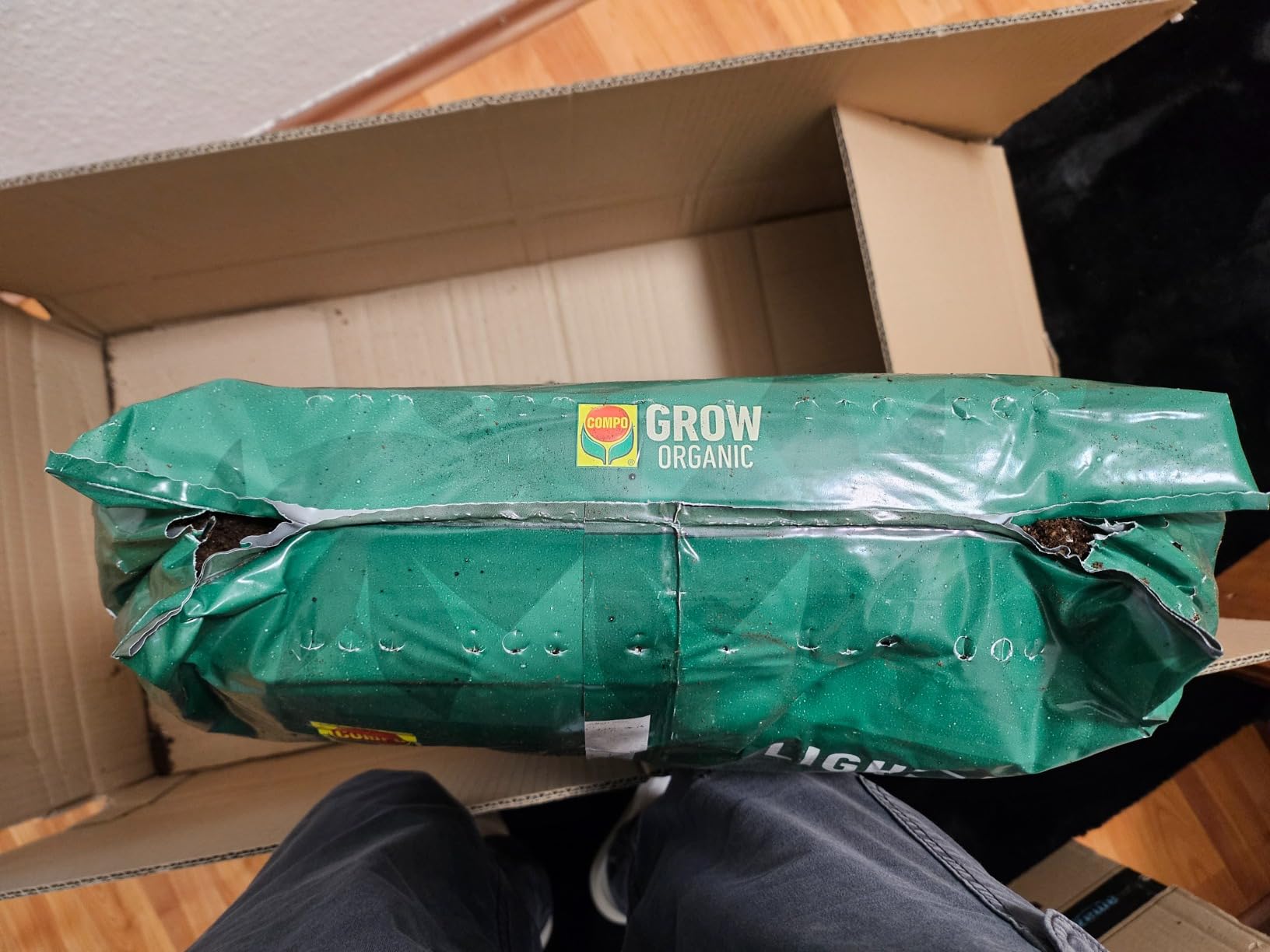 Gut für Indoor-Grow
