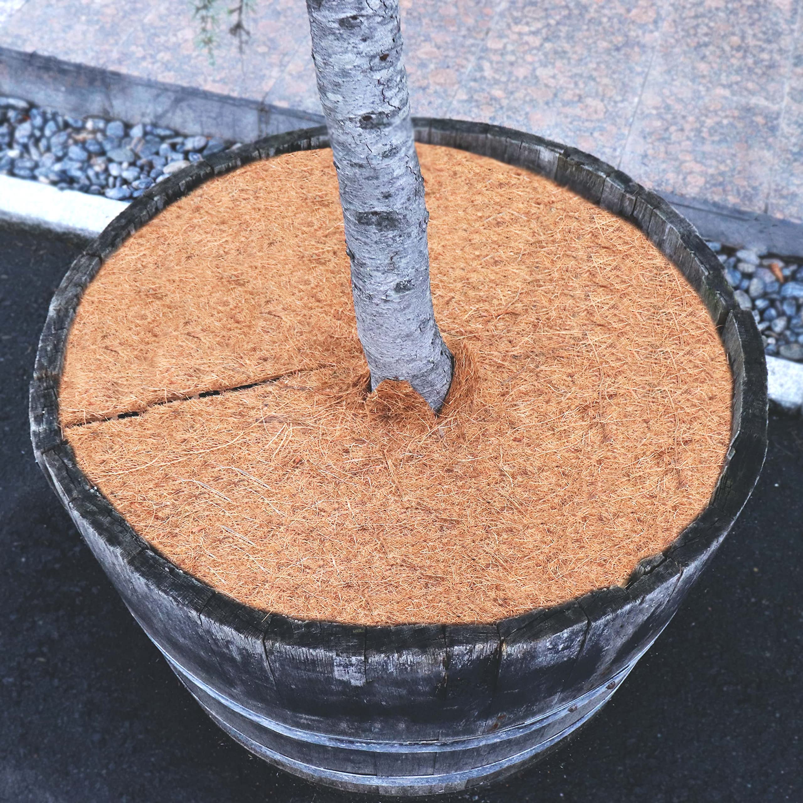 aquagart-kokos-mulchscheiben-5-st-ck-30-cm-durchmesser-winterschutz-unkrautschut image 4