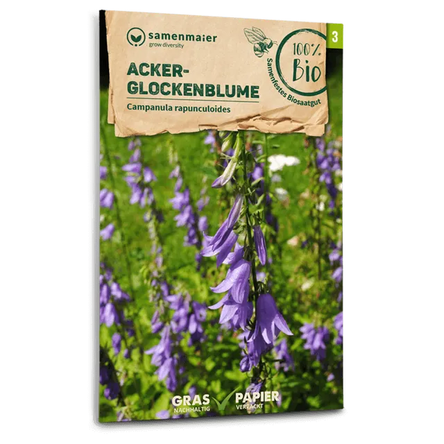 plantura-bio-acker-glockenblume-wildblume-bio-saatgut-campanula image 1