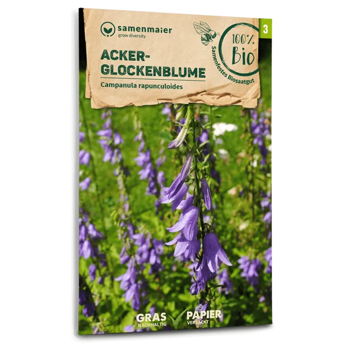 plantura-bio-acker-glockenblume-wildblume-bio-saatgut-campanula image 1