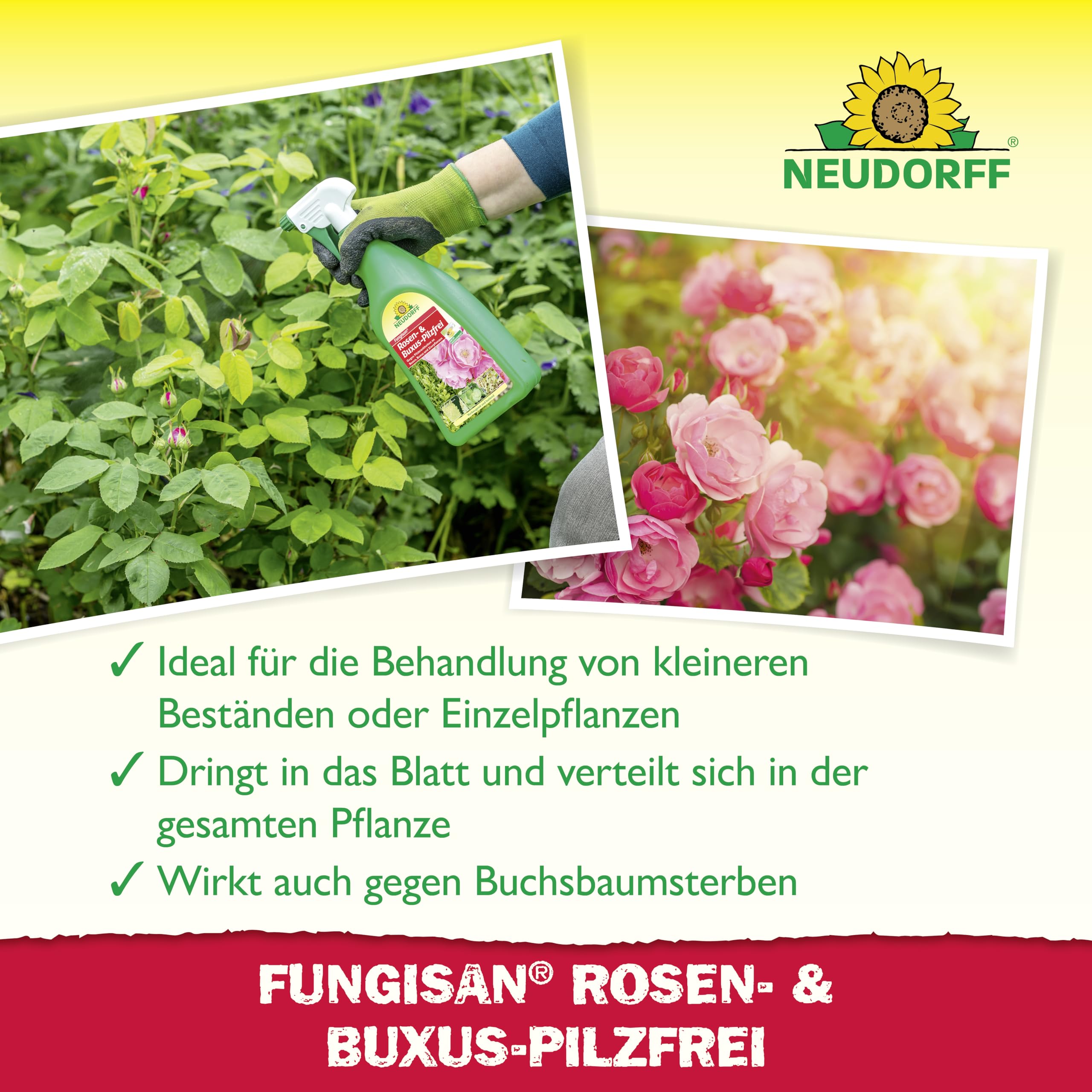 neudorff-fungisan-rosen-und-buxus-pilzfrei-spray-1-l-anwendungsfertig-vegan image 4