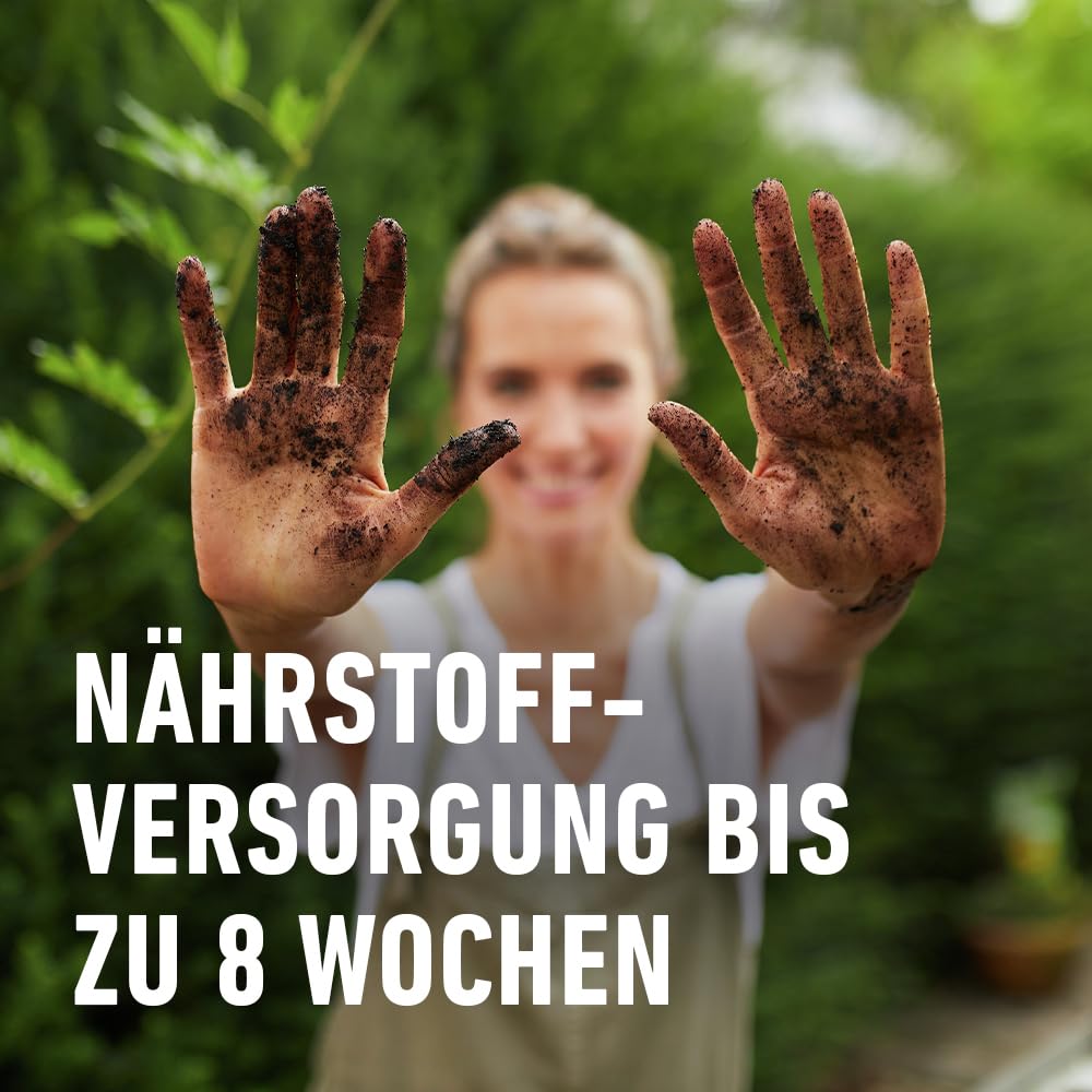 compo-sana-bonsaierde-kultursubstrat-5-l-mit-8-wochen-n-hrstoffe image 6