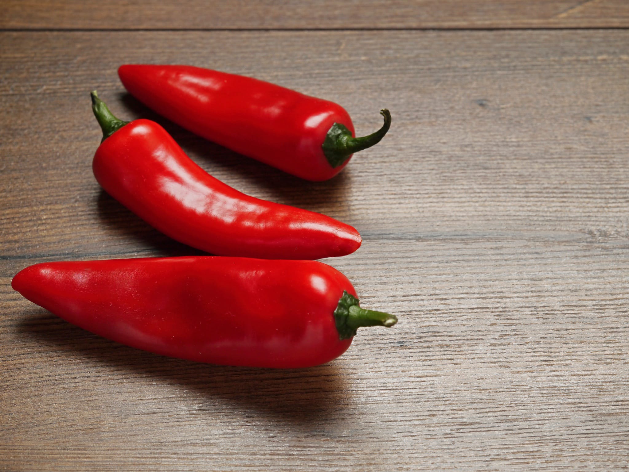 plantura-bio-chili-gorria-bio-saatgut-capsicum-annuum image 2