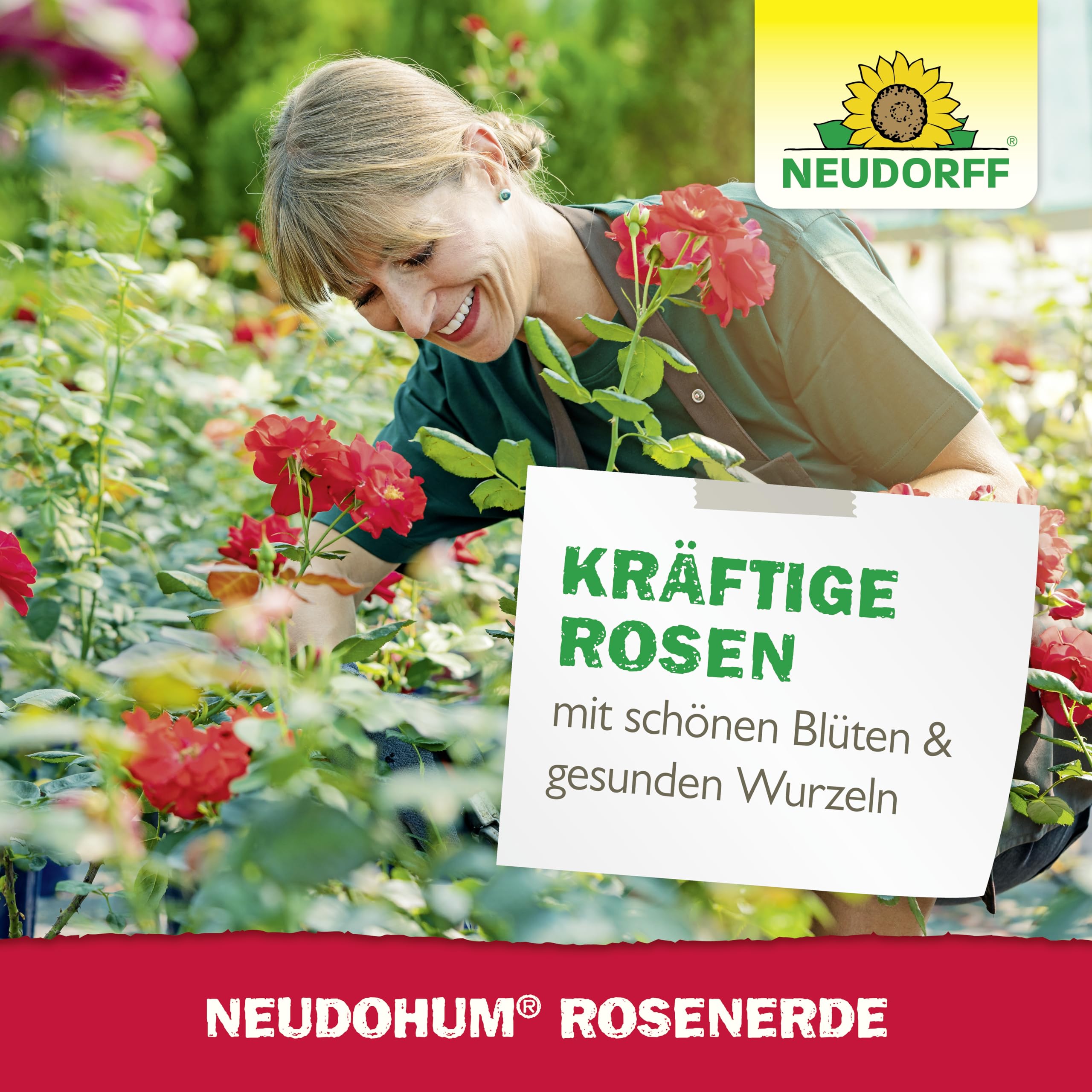 neudorff-neudohum-rosenerde-torffrei-20-liter-bio-erde-mit-mycorrhiza image 7
