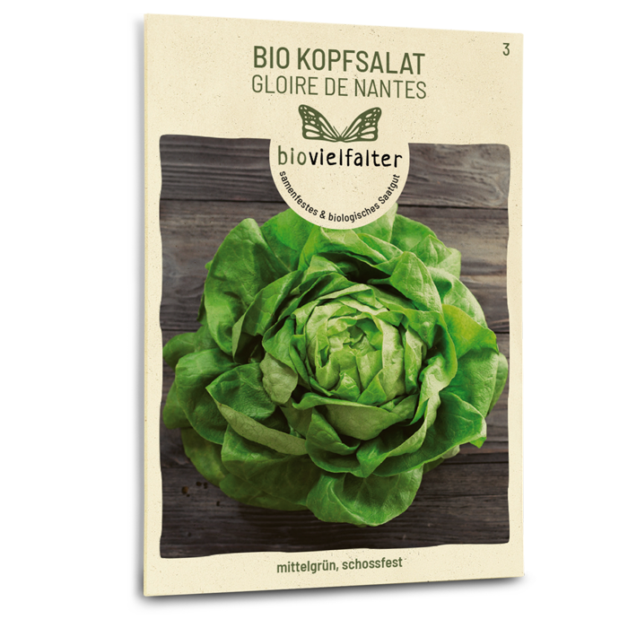 plantura-bio-kopfsalat-gloire-de-nantes-bio-saatgut image 1
