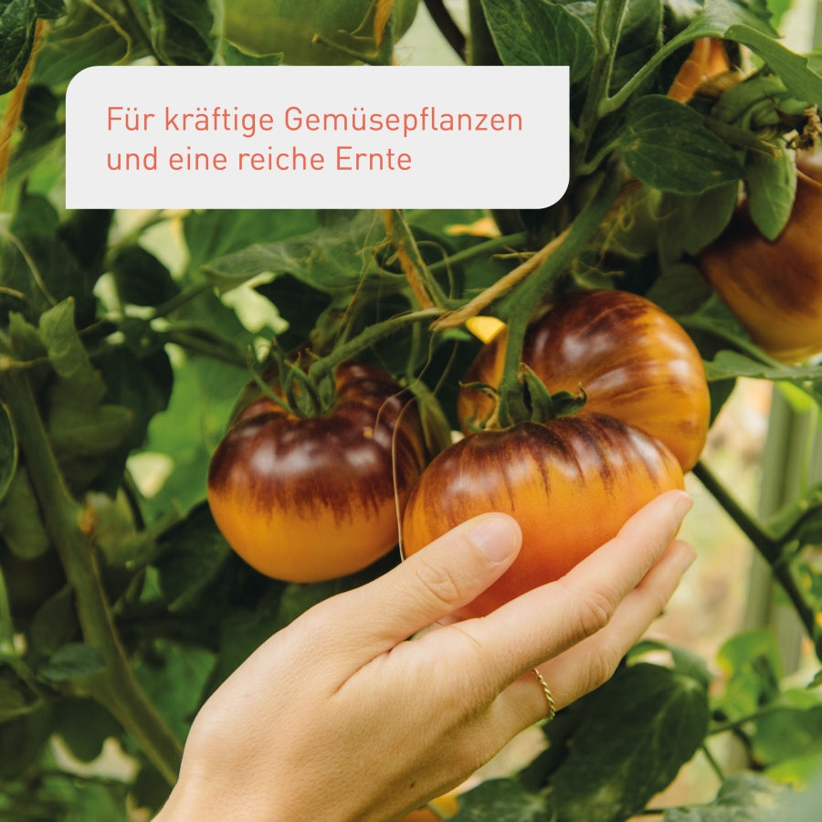 plantura-bio-tomaten-gem-sed-nger-800-ml-fl-ssigd-nger image 2