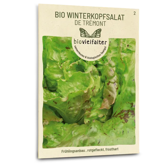 plantura-bio-winterkopfsalat-de-tr-mont-bio-saatgut image 1