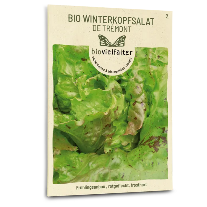 plantura-bio-winterkopfsalat-de-tr-mont-bio-saatgut image 1