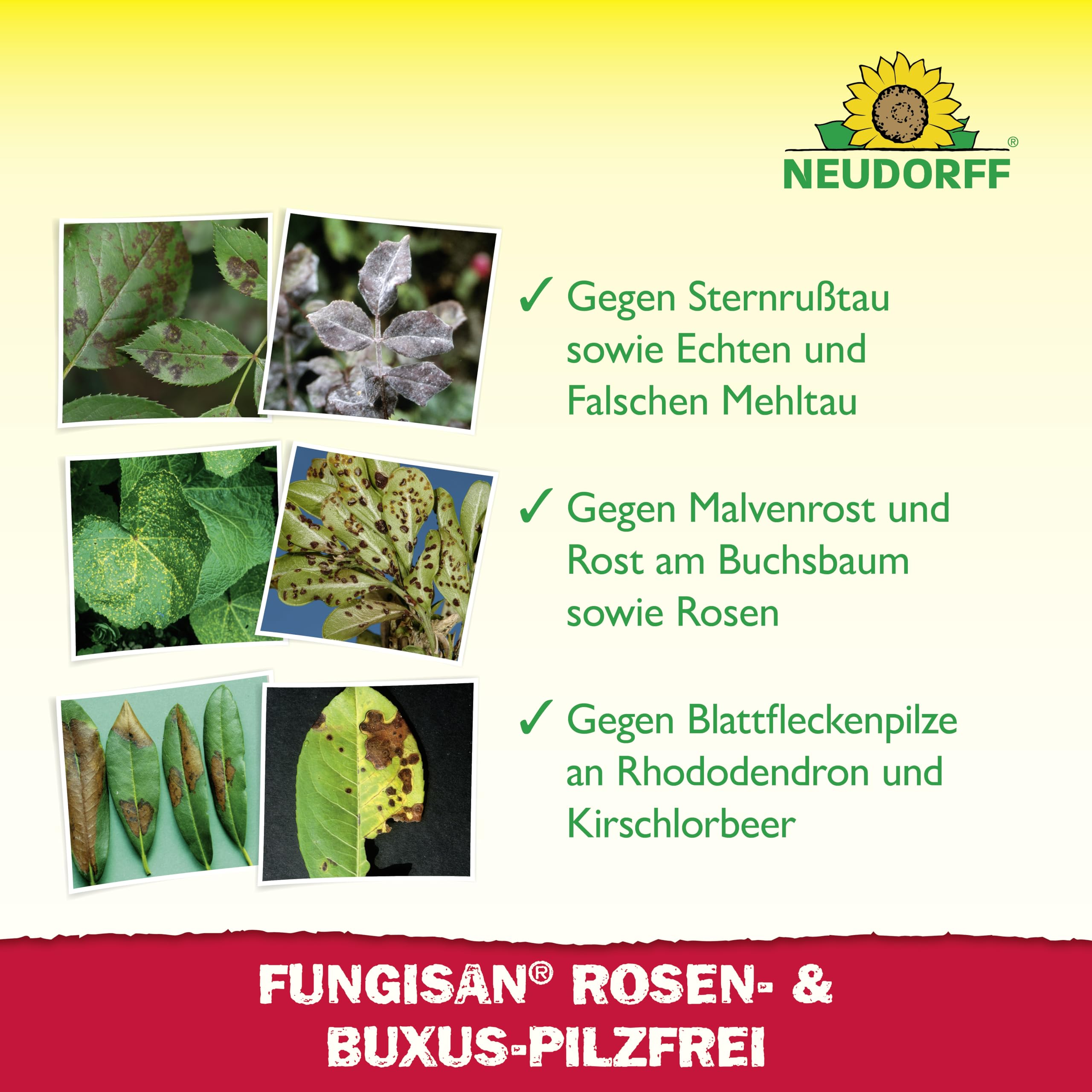 neudorff-fungisan-rosen-und-buxus-pilzfrei-spray-1-l-anwendungsfertig-vegan image 5