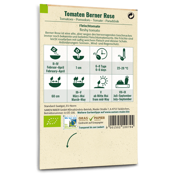 plantura-bio-tomate-berner-rose-bio-saatgut-fleischtomate image 3