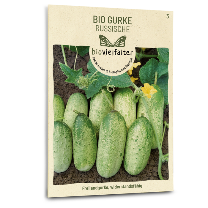 plantura-bio-gurke-russische-bio-saatgut image 1