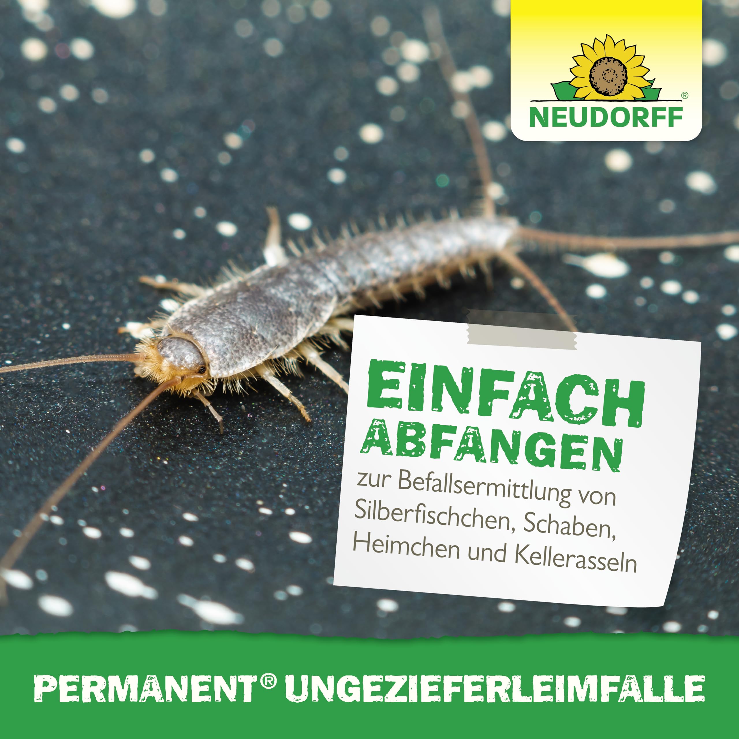 neudorff-permanent-ungezieferleimfalle-insektizidfreie-klebefalle-gegen-silberfi image 6