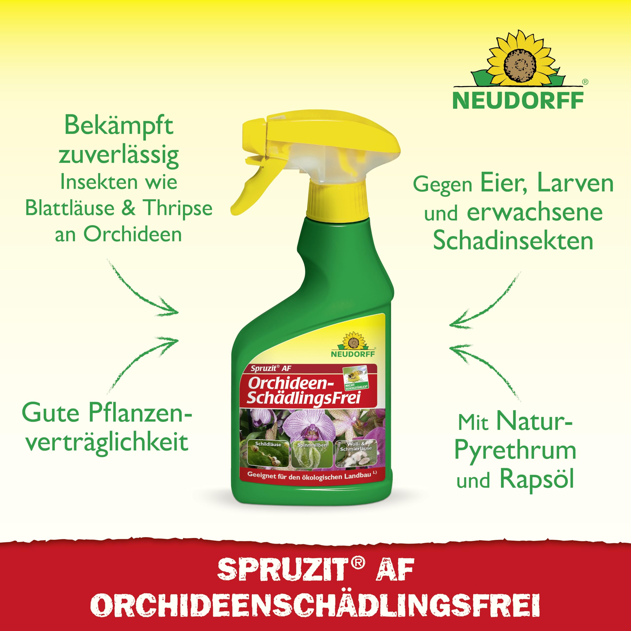neudorff-spruzit-af-orchideen-sch-dlingsfrei-250-ml-spray-anwendungsfertig image 2