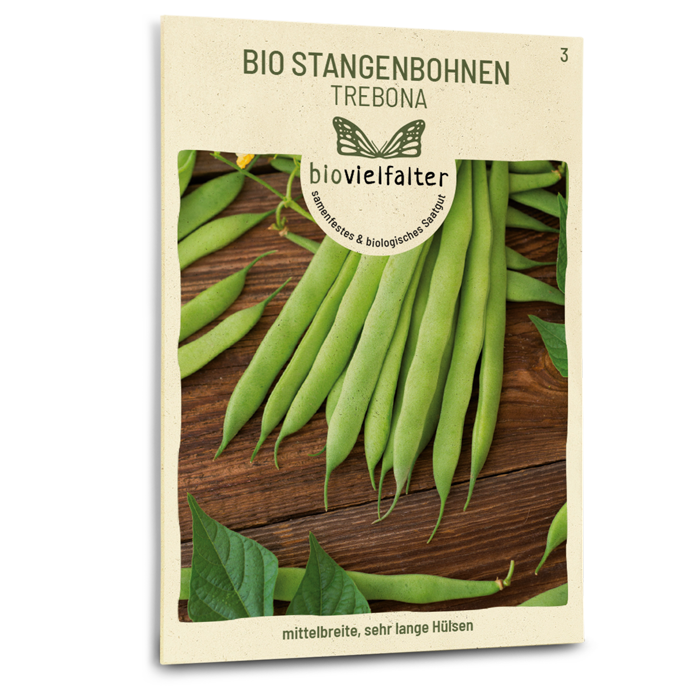 plantura-bio-stangenbohne-trebona-bio-saatgut image 1